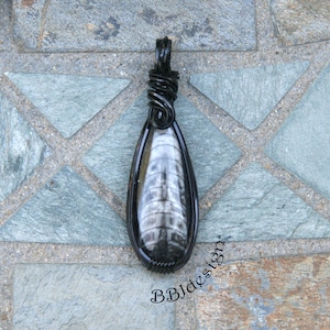 Orthoceras Fossil Gemstone Cabochon Pendant Necklace Black Wire Wrapped Teardrop OOAK