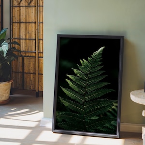 May include: A rectangular framed wall art piece featuring a high-contrast photograph of a single green fern frond against a solid black background. The frame is thin and black, surrounding the botanical print which displays detailed leaf textures.