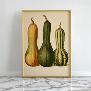 May include: A framed botanical print featuring three elongated gourds in a row. The left gourd is golden yellow, the center gourd is solid dark green, and the right gourd is light green with dark green vertical stripes, all set against a cream background.
