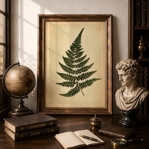 May include: A framed botanical print featuring a single green fern leaf centered on a cream background, housed in a dark bronze-toned frame. The artwork is displayed alongside a globe, a classical bust, and several leather-bound books on a desk.