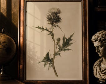 May include: A framed botanical print featuring a detailed illustration of a thistle plant with spiky leaves and a blooming flower head, encased in a dark, metallic, textured frame with a beaded inner border detail.