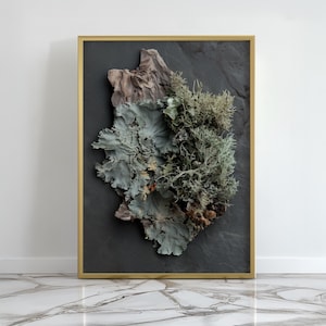 Lichen Specimen Print, Dark Academia Botanical Study, Gothic Naturalist Poster, Moody Grey Green Sepia Macro Nature Wall Art for Study Rooms