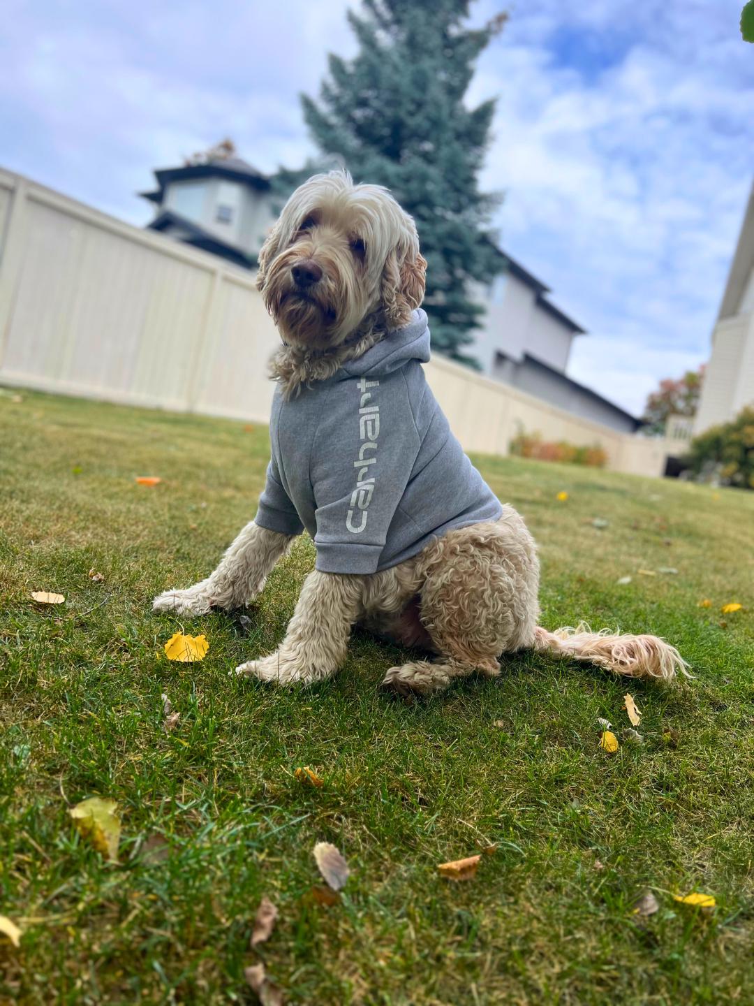 Carhartt Dog Jacket