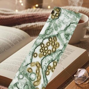 May include: A bookmark featuring a detailed, abstract illustration in shades of green and brown, resting within an open book. The scene includes a cup of tea, a small potted plant, and a pair of glasses, creating a cozy, intellectual atmosphere.