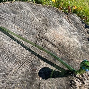Puede incluir: Una pipa de vidrio verde con un tallo largo y un cuenco redondeado. El cuenco tiene detalles azules. La pipa descansa sobre un tocón de árbol gris y desgastado, con la luz del sol proyectando una sombra.
