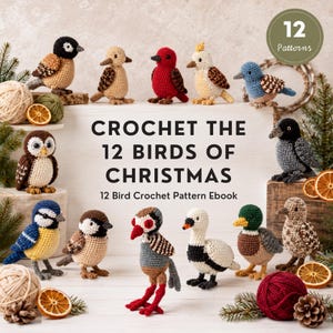 May include: A digital ebook cover titled Crochet the 12 Birds of Christmas featuring twelve small, colorful crocheted bird figures arranged around the text. The birds include various species in shades of red, blue, brown, white, and black yarn.