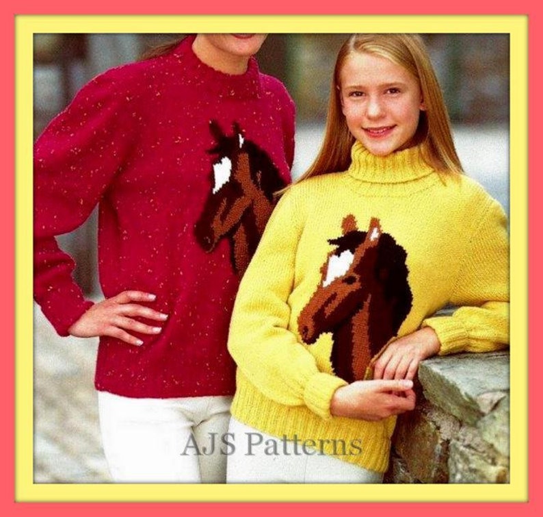 PDF Knitting Pattern Horse Horse's Head Motif Sweater in Etsy UK
