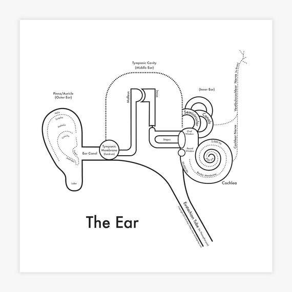 Ear Print 8x8 | Etsy
