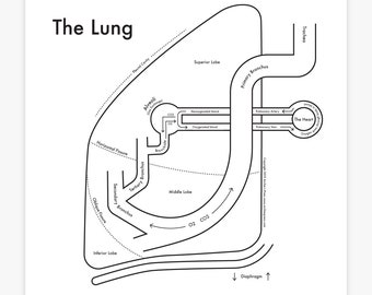 Lung Chart Letterpress Print 8"x8"