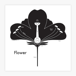 Imprimé à la presse à lettres de fleurs 8"x8 »