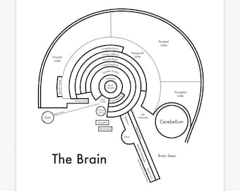 Brain map 8x8"