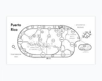 Puerto Rico Letterpress Map Print 6"x12"