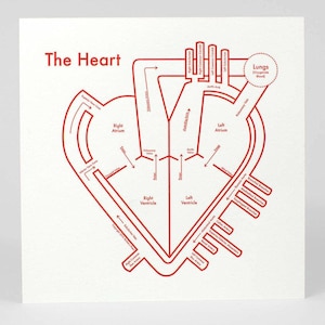 Heart Screenprint 17.5&quot;x17.5&quot;