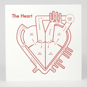 Heart Screenprint 17.5"x17.5"