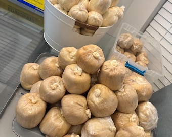 Kenkey de Accra o Ga