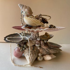 Puede incluir: Un joyero de conchas marinas de varios niveles con varias conchas, perlas y joyas. El joyero presenta una variedad de conchas marinas de diferentes formas y tamaños, con una combinación de colores rosa y blanco. Se exhiben pulseras, aretes y collares dorados.