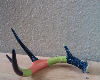 Free Holiday Shipping! Handpainted, naturally shed whitetail Deer antler