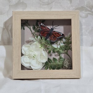 May include: A framed shadow box featuring a brown and black butterfly with white spots, set against a backdrop of white flowers and green foliage. The frame is made of light-colored wood, creating a natural aesthetic. The artwork is a decorative piece.