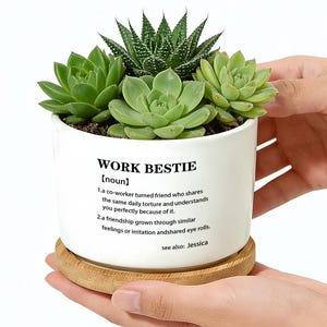 Può includere: Un vaso di ceramica bianco con la scritta "WORK BESTIE" e una definizione, pieno di piante grasse verdi. Il vaso poggia su un sottobicchiere rotondo in legno naturale. L'immagine è di una piccola pianta da interno.