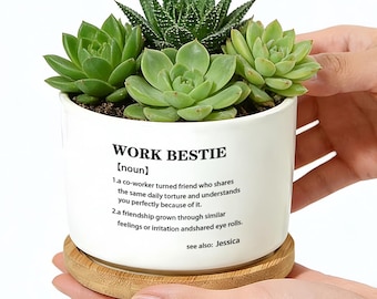 Work Bestie Planter Pot, Funny Coworker Gift, Office Friendship Desk Decor, Succulent Planter For Work Friend