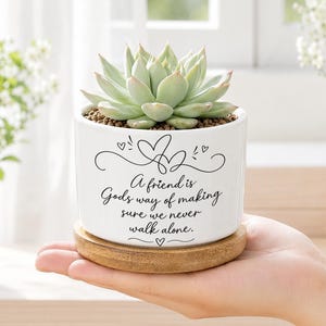 Peut inclure: Un pot de fleurs cylindrique en céramique blanche contenant une plante succulente vert clair. Le pot porte une inscription en noir, A friend is Gods way of making sure we never walk alone, avec des cœurs et une base en bambou.