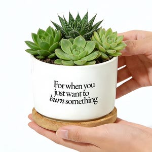 Funny Succulent Planter, For When You Just Want To Burn Something Pot, Coworker Gift, Boss Gift, Stress Relief Desk Decor