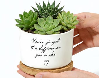 Nurse Appreciation Plant Pot, Succulent Pot Gift For Nurse, Retirement Gift, Thank You Coworker Gift, Inspirational Desk Decor