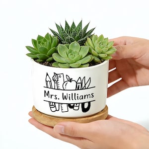 May include: A white ceramic planter with a succulent arrangement, featuring green succulents and a spiky plant. The planter has a black graphic of school supplies and the name "Mrs. Williams". It sits on a round, light brown bamboo saucer.