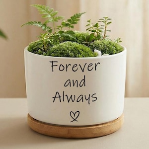 Könnte beinhalten: Rustikales Holzschild mit dem Text "Welcome to our home" in weißer Schrift. Das Schild hat eine Used-Optik und ein schlichtes, einladendes Design, perfekt für eine Veranda oder einen Eingangsbereich.