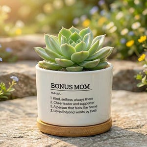 Succulent Definition - Etsy