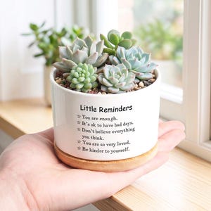 May include: A white ceramic planter with a wooden base, filled with various green succulents. The planter has the text "Little Reminders" and inspirational phrases in black. The planter is held in a person's hand.