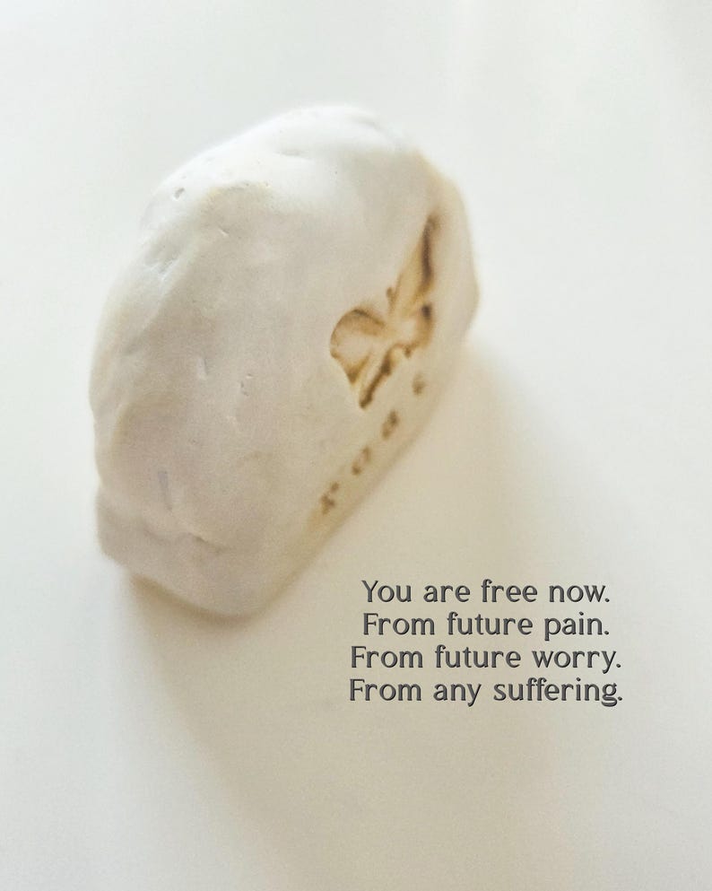 May include: A white, textured, irregular stone-like object featuring an embossed butterfly and the text: You are free now. From future pain. From future worry. From any suffering. The object has a matte finish and a rounded, organic shape.
