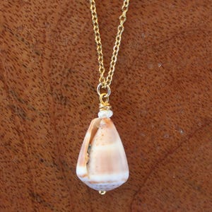 May include: A gold-colored chain necklace with a pendant made from a natural seashell. The shell is cream and tan with a teardrop shape. The necklace is displayed against a brown wooden background.