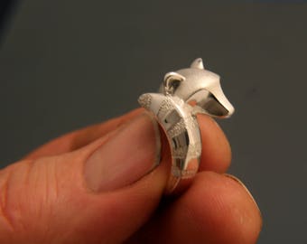 racoon ring