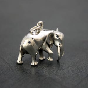May include: A small, silver elephant charm with a loop for a necklace or bracelet. The elephant is depicted in a walking pose, with detailed features including a trunk, tusks, and ears. The charm has a polished, reflective surface.