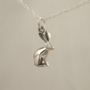 May include: A silver-colored pendant necklace featuring a detailed hare charm. The hare is depicted in a seated position with long ears and a smooth, reflective surface. The necklace chain is a delicate, twisted design.