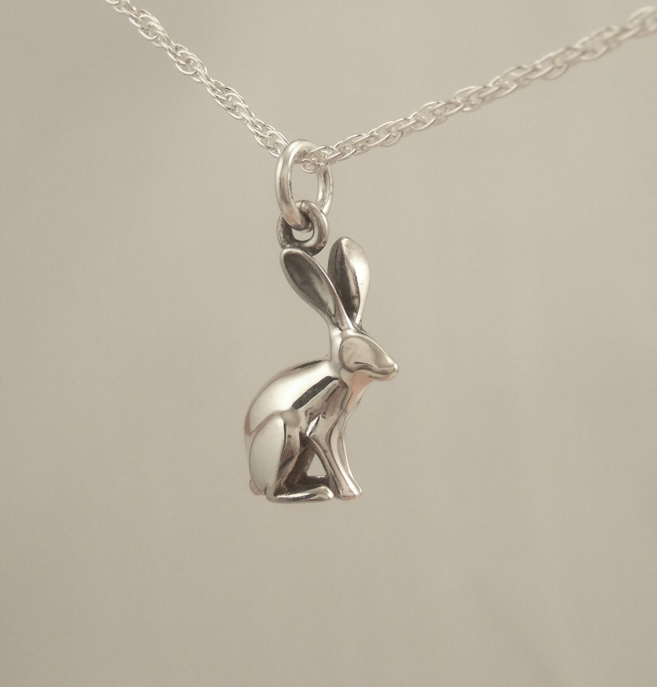 ネックレス・ペンダント JackRabbit il_fullxfull.239062552.jpg