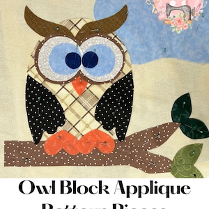 May include: Owl Block Applique Pattern Pieces. A brown, black, and white owl with large blue eyes is sitting on a brown branch with green leaves. The owl is made of fabric and is pinned to a beige background.