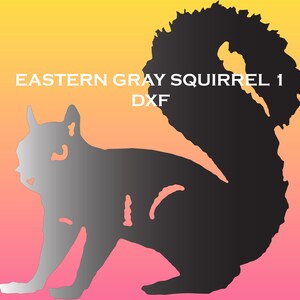 Puede incluir: Silueta negra de una ardilla gris oriental con cola tupida. La imagen está sobre un fondo degradado de amarillo, naranja y rosa. El texto "EASTERN GRAY SQUIRREL 1 DXF" está en la parte superior de la imagen.