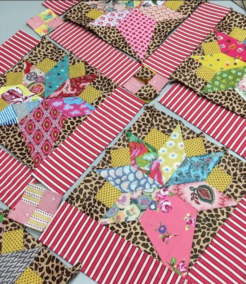 May include: Close-up of a patchwork quilt block with a star design. The star is made of various colorful fabrics with floral and geometric patterns. The block is surrounded by a red and white striped border and a brown leopard print border.