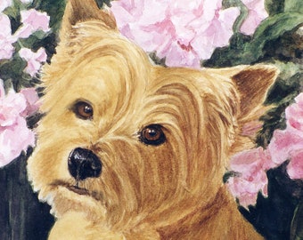 Cairn Terrier Watercolor Art Print, Cairn Terrier Portrait, Dog with Flowers Art, Dog Watercolor Art by P. Tarlow