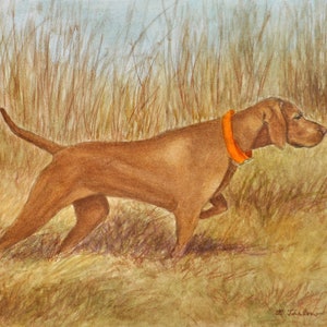 Vizsla Pointing Print, Vizsla Art, Hunting Dog Print, Vizsla Watercolor Artwork, Vizsla Lover Gift, Vizsla Dog Watercolor by P Tarlow
