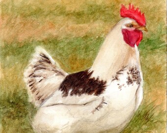 Lámina artística de gallina blanca y marrón, acuarela de pollo, decoración de pared para habitación con gallinas de granja, gallina blanca con cresta roja de P. Tarlow