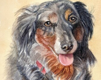 Dachshund Dog Art Print, Long Haired Dachshund with Light Eyes Art, Dog Art, Dog Watercolor Print, Dachshund Portrait Painting by P. Tarlow