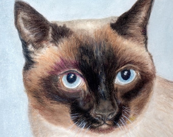 Siamese Cat Art, Siamese Cat Watercolor Print, Sealpoint Siamese Cat Art Portrait from Painting by P. Tarlow