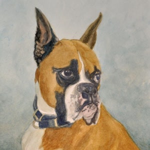 Boxer Dog Portrait Art Print, Boxer Dog Watercolor, Dog Portrait Art, Dog Art Print from Watercolor by P. Tarlow
