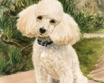 Poodle Art Print, Poodle In Garden, Watercolor Dog Portrait by P. Tarlow