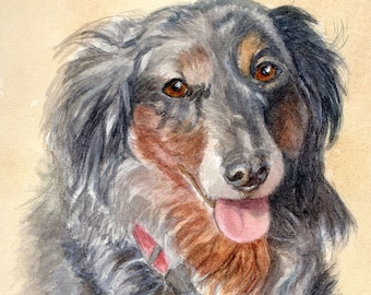 Dachshund Dog Art Print, Long Haired Dachshund Art, Dog Art, Dog Watercolor Print, Dachshund Portrait Print from Painting by P. Tarlow