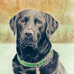 Black Labrador Retriever Art Print, Labrador Retriever Art, Black Lab Art, Black Lab Portrait Art, Dog Watercolor Art by P. Tarlow
