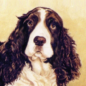 English Springer Spaniel Portrait Art, Springer Spaniel Watercolor Print, Springer Spaniel Dog Art Print from Painting by P. Tarlow